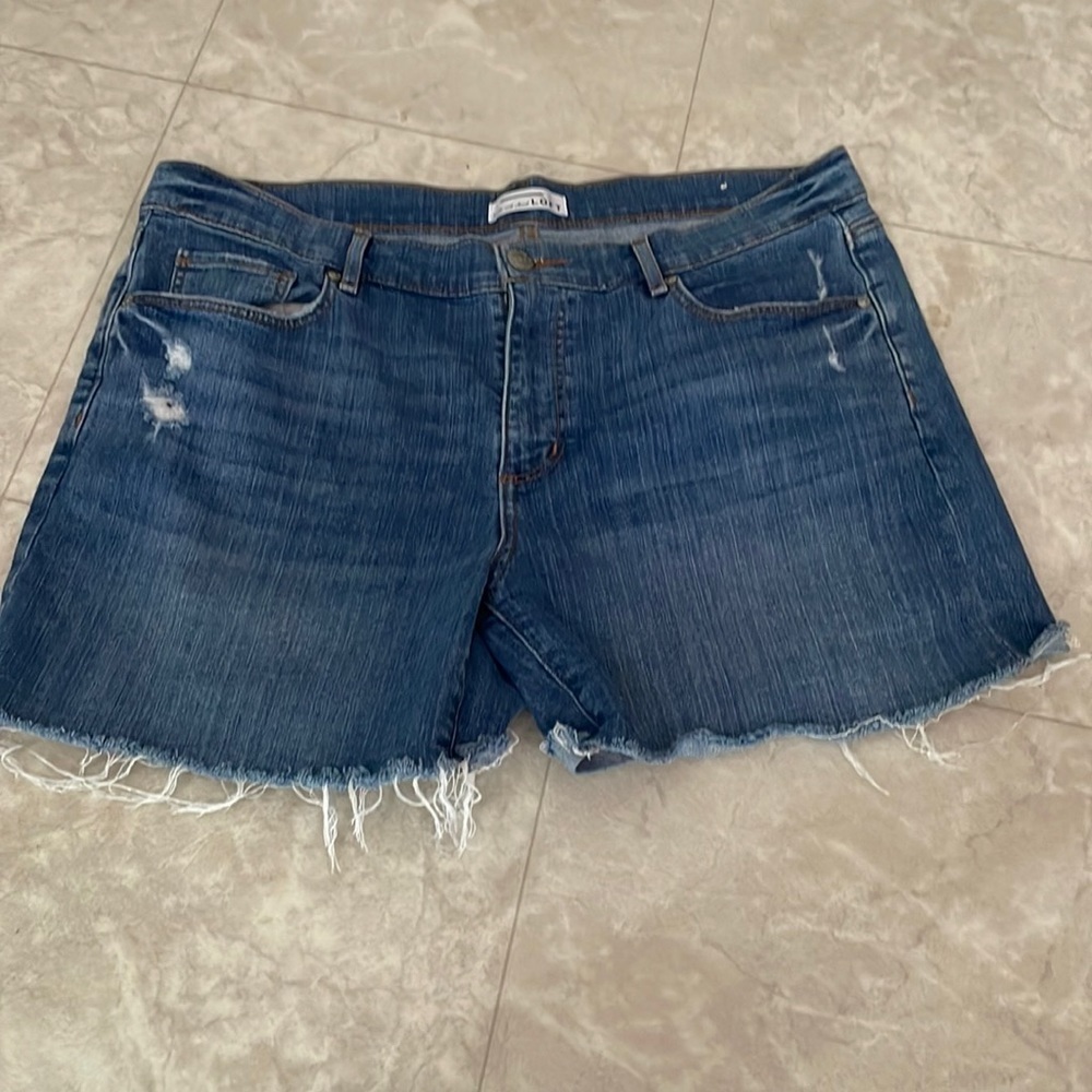 Loft Distressed Cutoff Jean Shorts 32